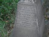 image of grave number 385018